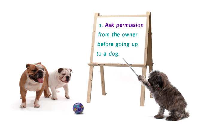 1. Ask permissio from the owner before going up to a dog.