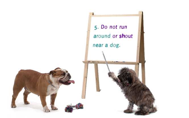 5. Do not run around or shout near a dog.